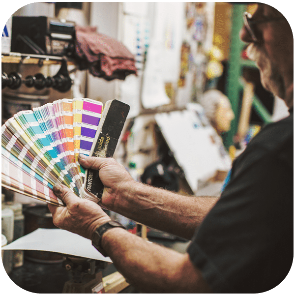 color palettes